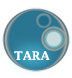 Link to TARA homepage
